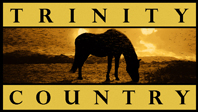 Trinity Country Real Estate Logo