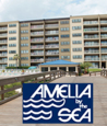 Amelia by the Sea