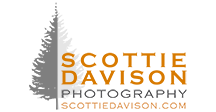 Scottie Davison Photography Logo